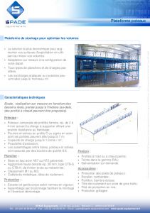 Plateforme de Stockage Industriel - Plateformes sur Poteaux